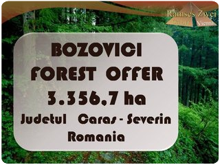 Forest Offer Bozovici Judetul Caras-Severin