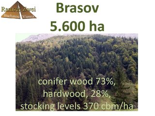 5.600 ha mixed forest