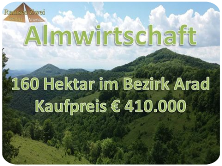 160 ha im Bezirk Arad