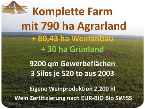 Eigene Weinproduktion 2.200 hl